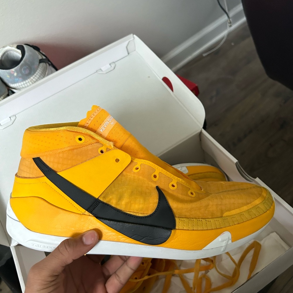KD 13 University Gold
